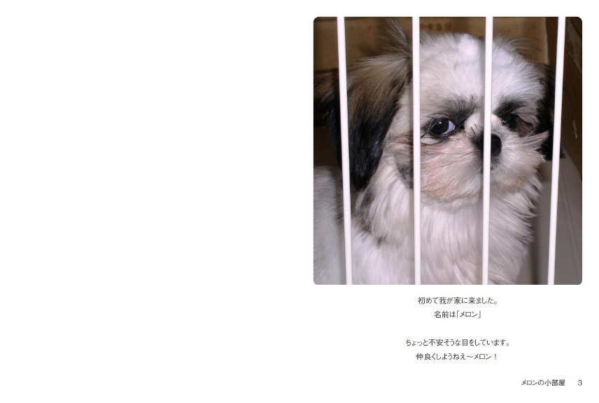フォトブック 2ページ目