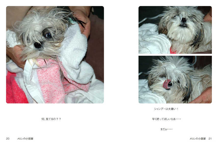 フォトブック 20ページ目