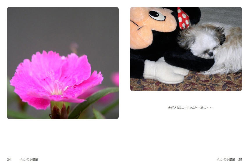 フォトブック 24ページ目
