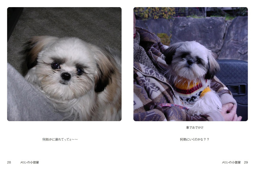 フォトブック 28ページ目