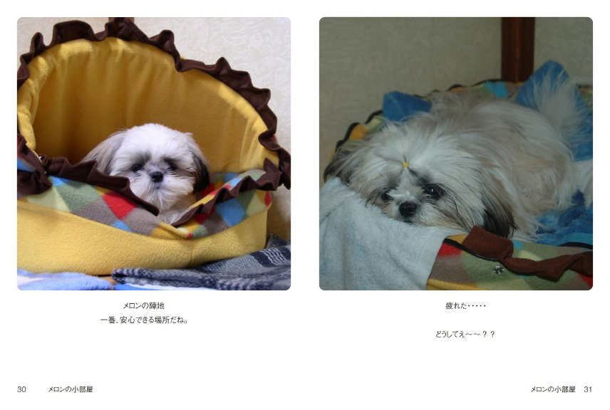 フォトブック 30ページ目