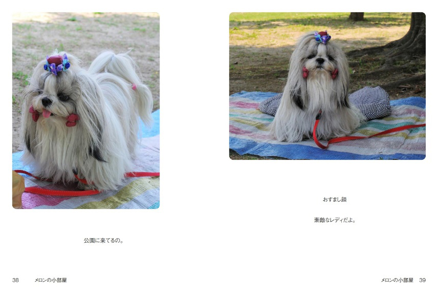 フォトブック 38ページ目