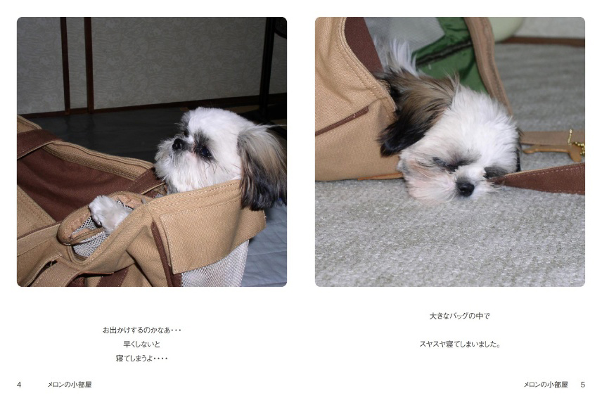 フォトブック 4ページ目