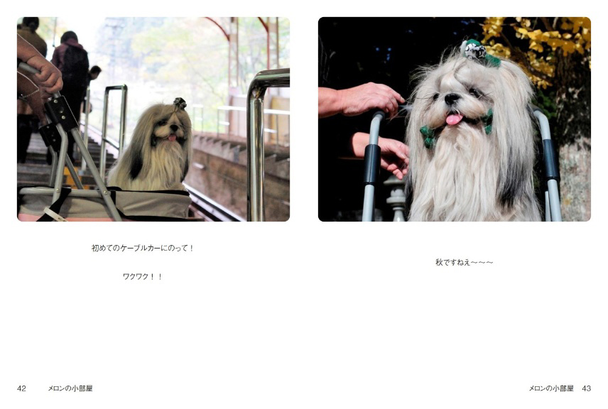 フォトブック 42ページ目