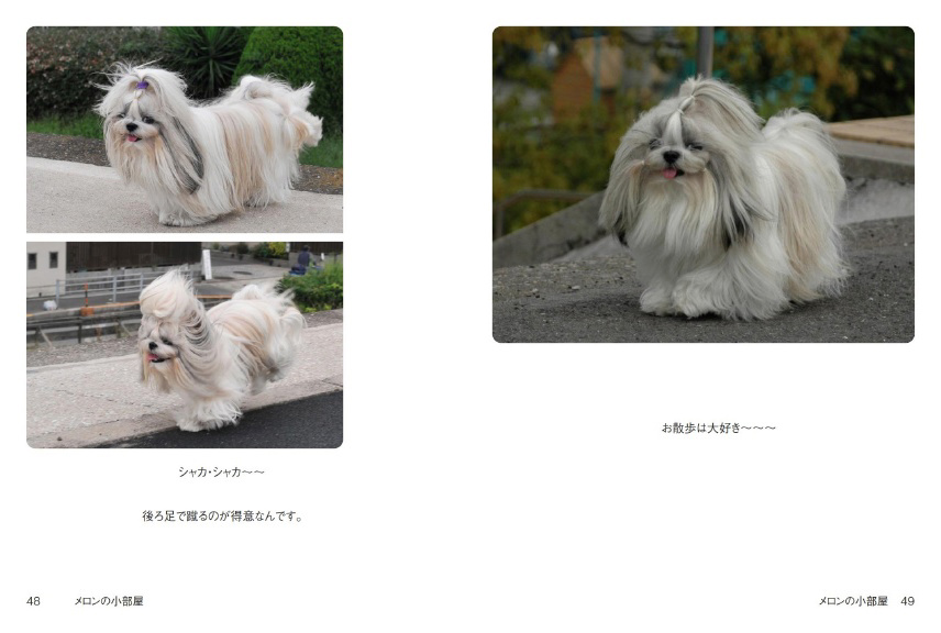 フォトブック 48ページ目