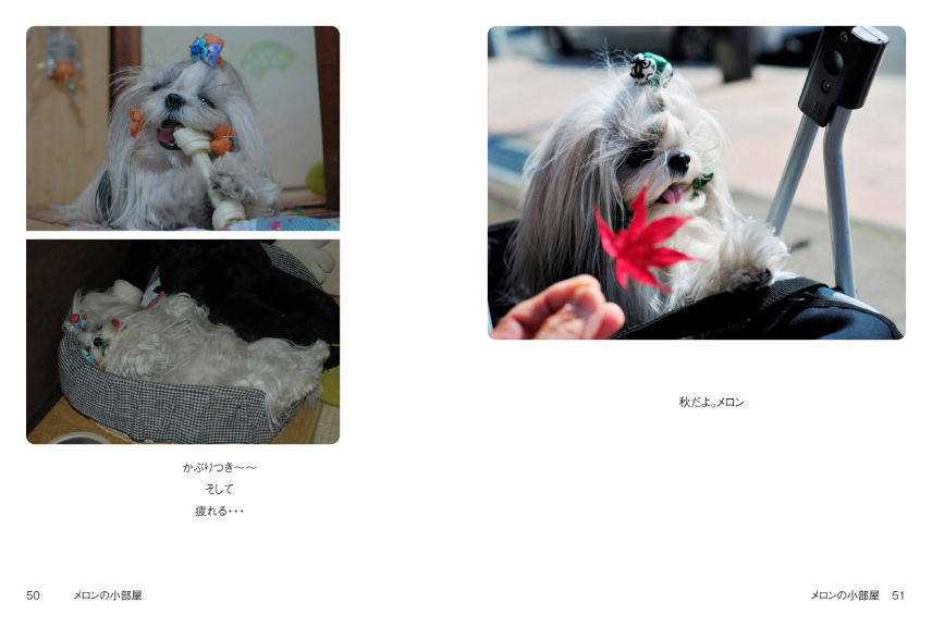 フォトブック 50ページ目
