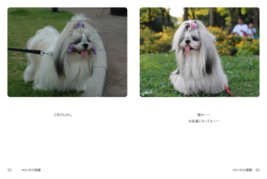 フォトブック 52ページ目