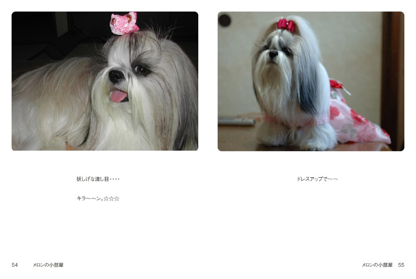 フォトブック 54ページ目