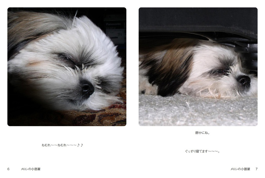 フォトブック 6ページ目