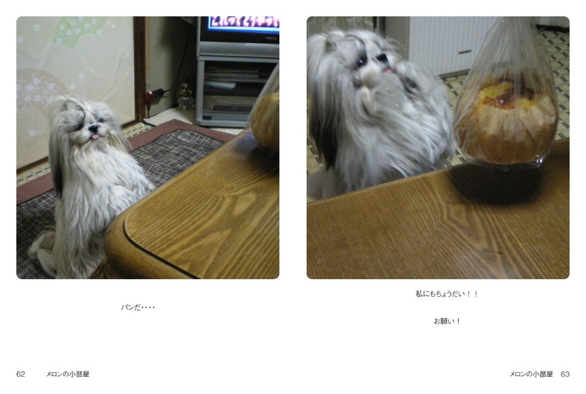 フォトブック 62ページ目