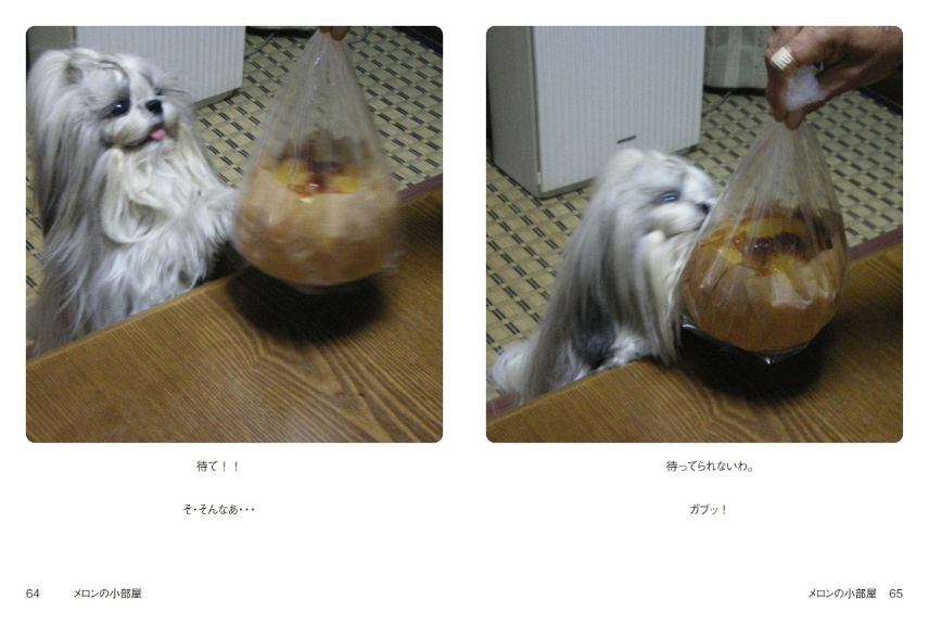 フォトブック 64ページ目