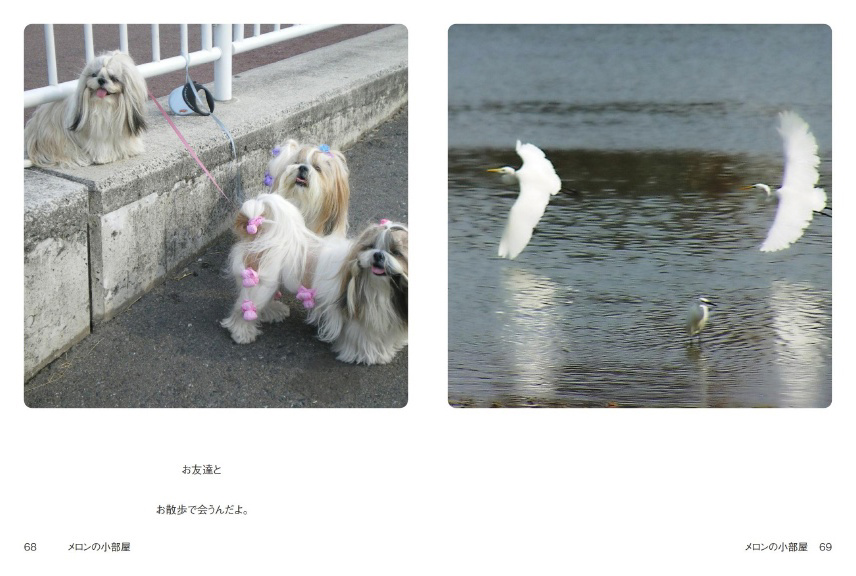 フォトブック 68ページ目
