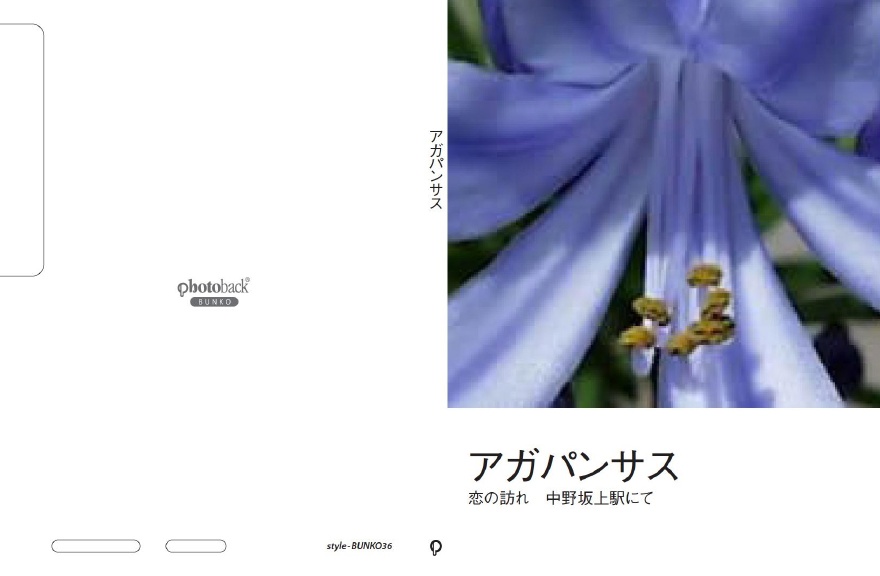 フォトブック ジャケット