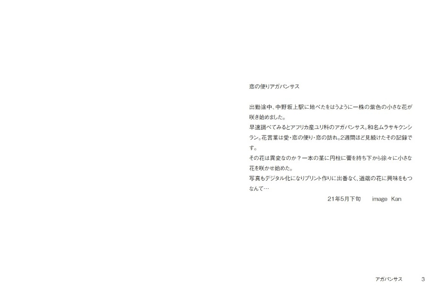 フォトブック 2ページ目