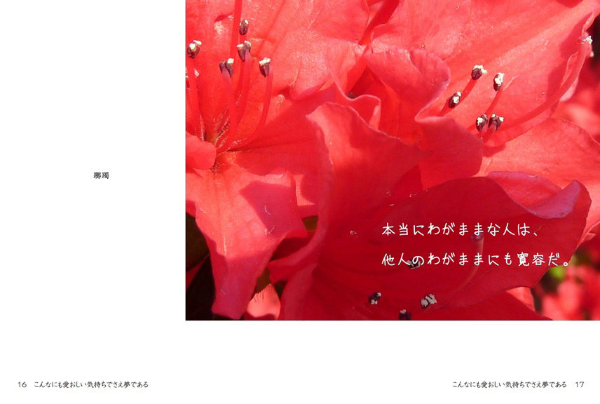 フォトブック 16ページ目