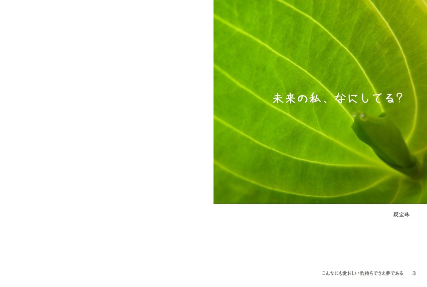 フォトブック 2ページ目
