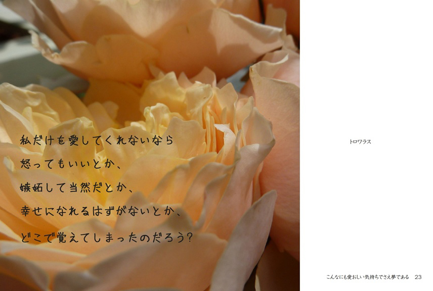 フォトブック 22ページ目