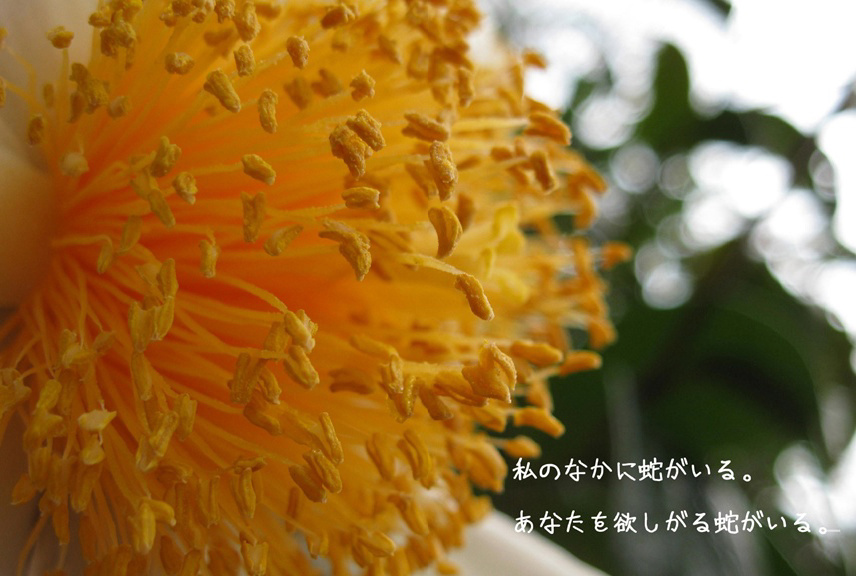 フォトブック 24ページ目