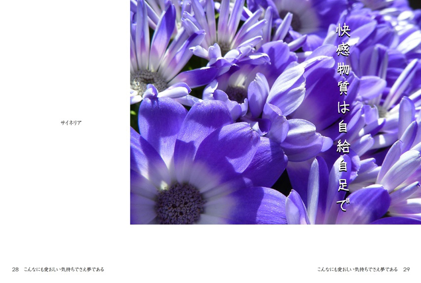 フォトブック 28ページ目