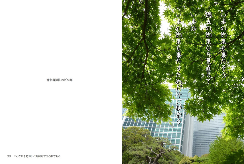 フォトブック 30ページ目