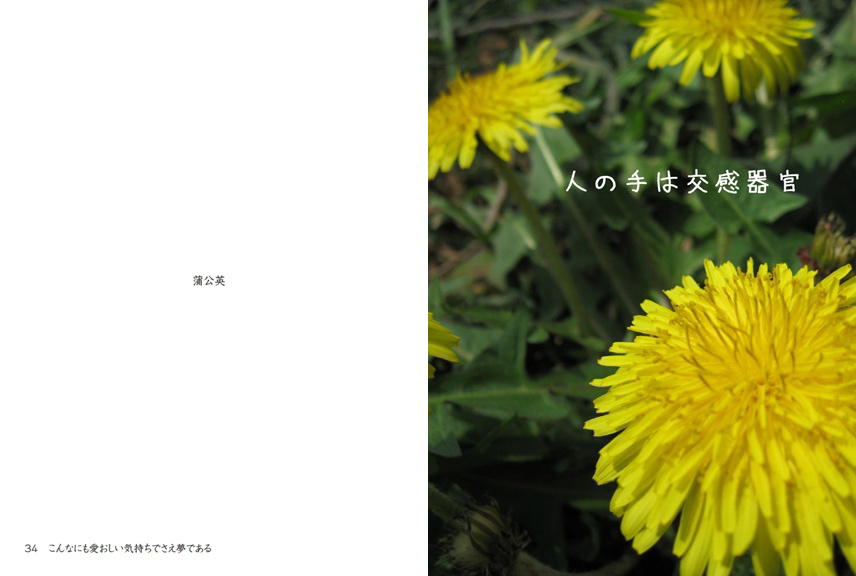 フォトブック 34ページ目