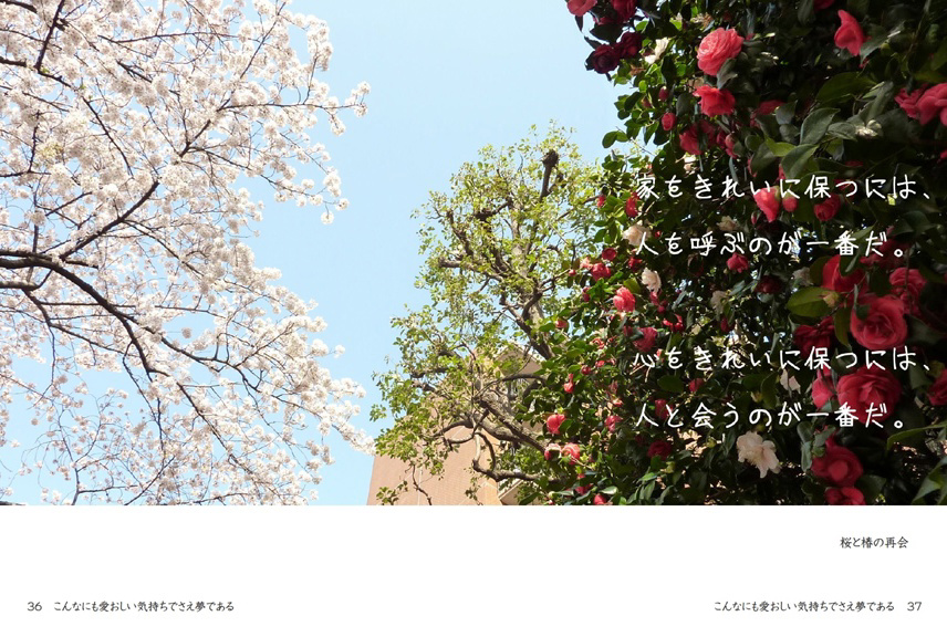 フォトブック 36ページ目