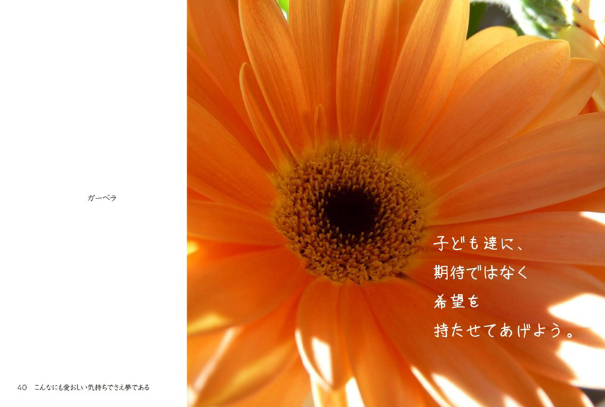 フォトブック 40ページ目