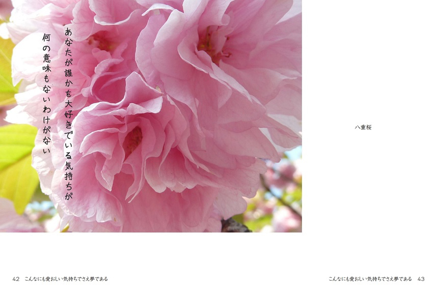 フォトブック 42ページ目