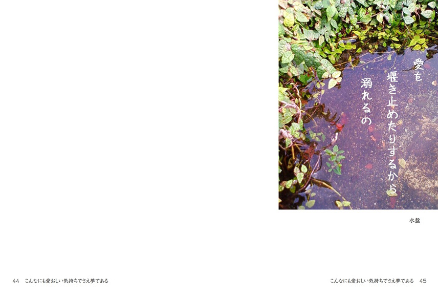 フォトブック 44ページ目
