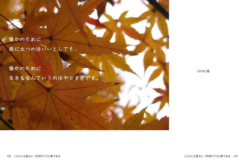 フォトブック 48ページ目