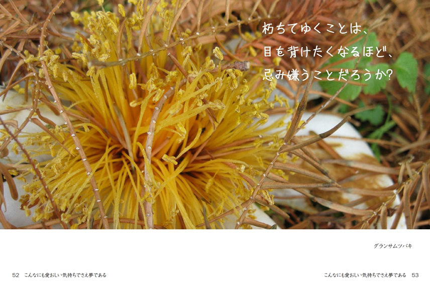 フォトブック 52ページ目