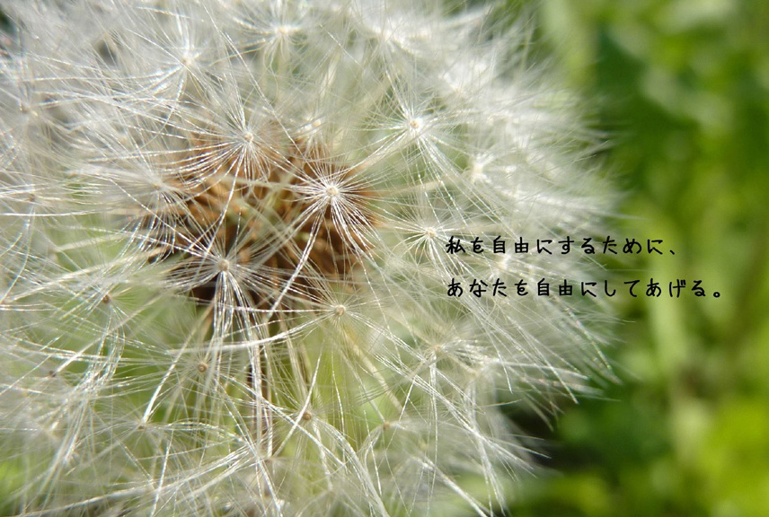 フォトブック 54ページ目