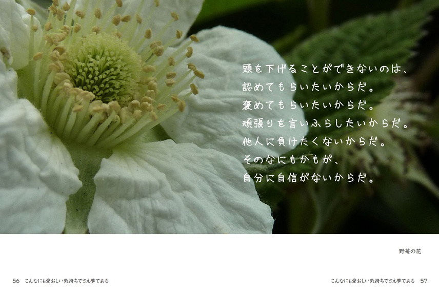 フォトブック 56ページ目