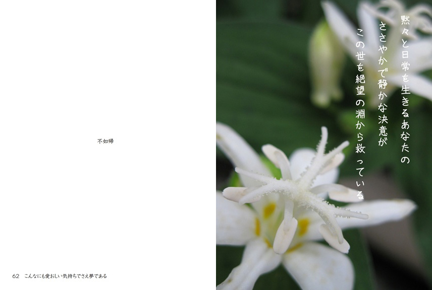 フォトブック 62ページ目