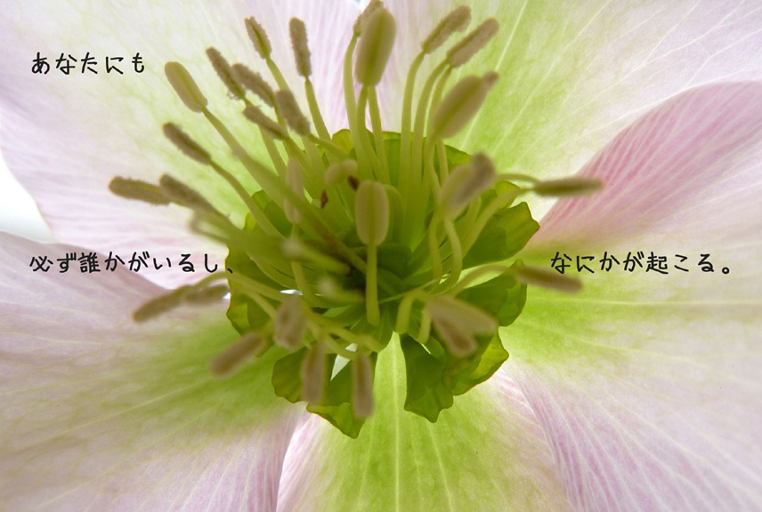 フォトブック 66ページ目