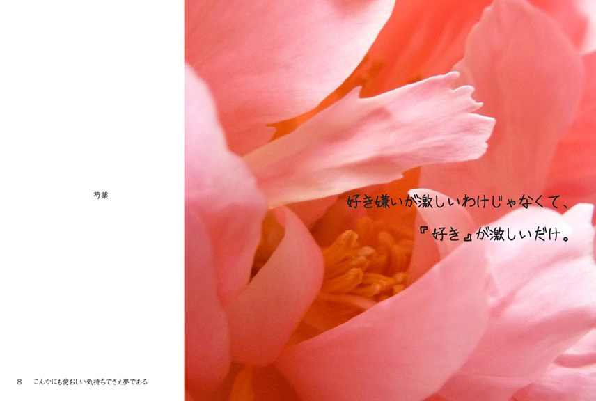 フォトブック 8ページ目