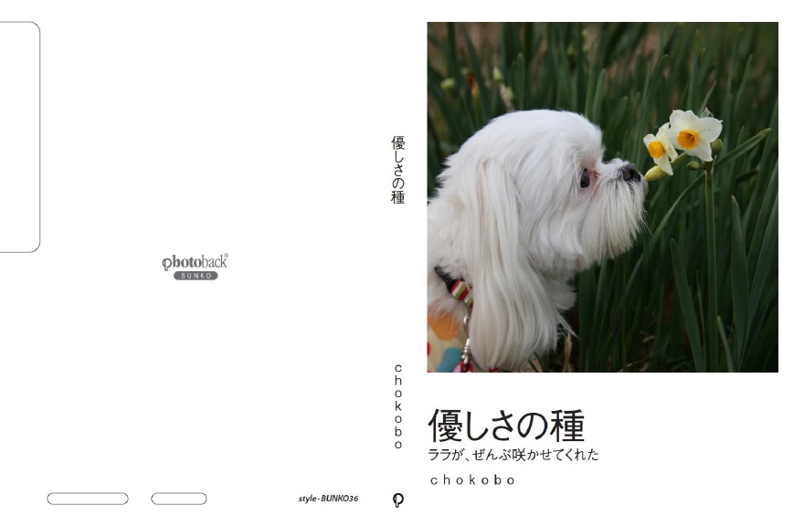 フォトブック ジャケット