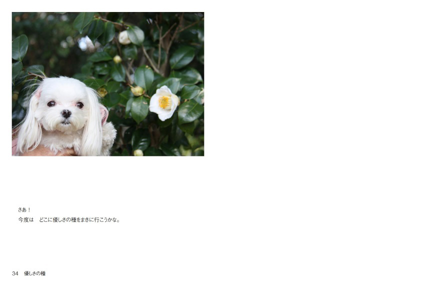 フォトブック 34ページ目