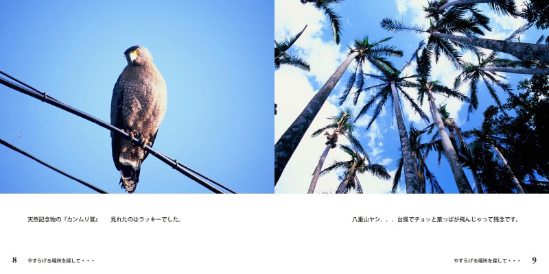 フォトブック 8ページ目