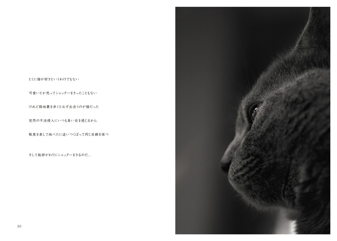 フォトブック 30ページ目