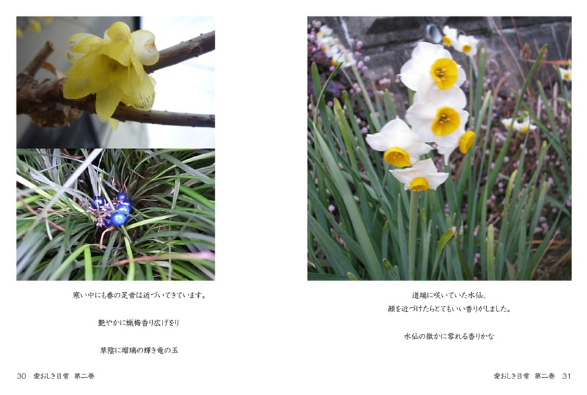 フォトブック 30ページ目