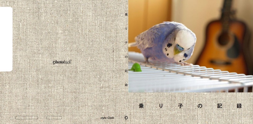 フォトブック ジャケット