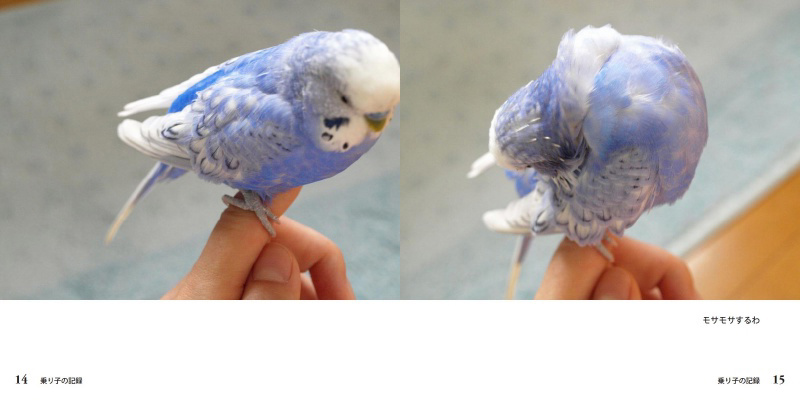 フォトブック 14ページ目