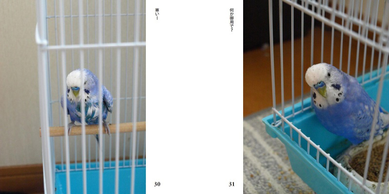 フォトブック 30ページ目