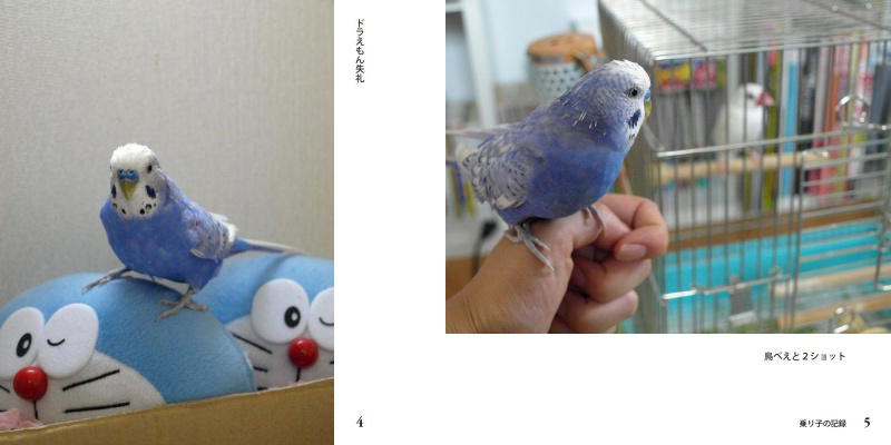 フォトブック 4ページ目