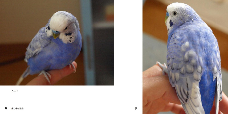 フォトブック 8ページ目