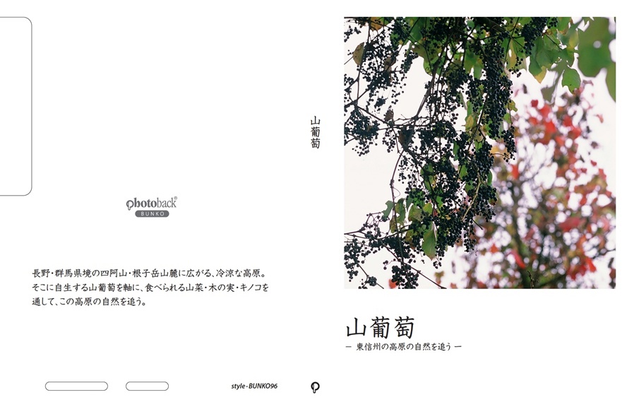フォトブック ジャケット