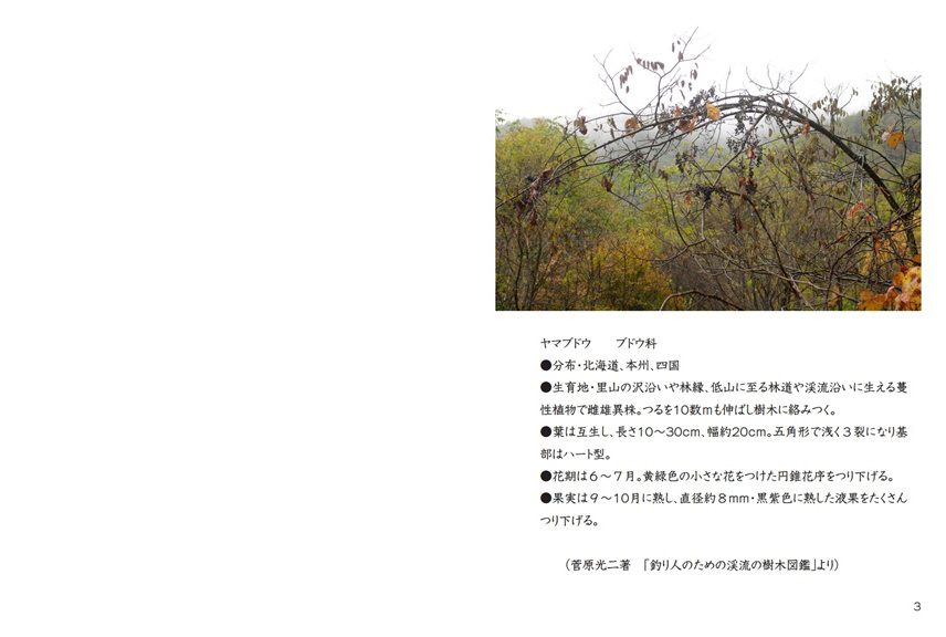 フォトブック 2ページ目
