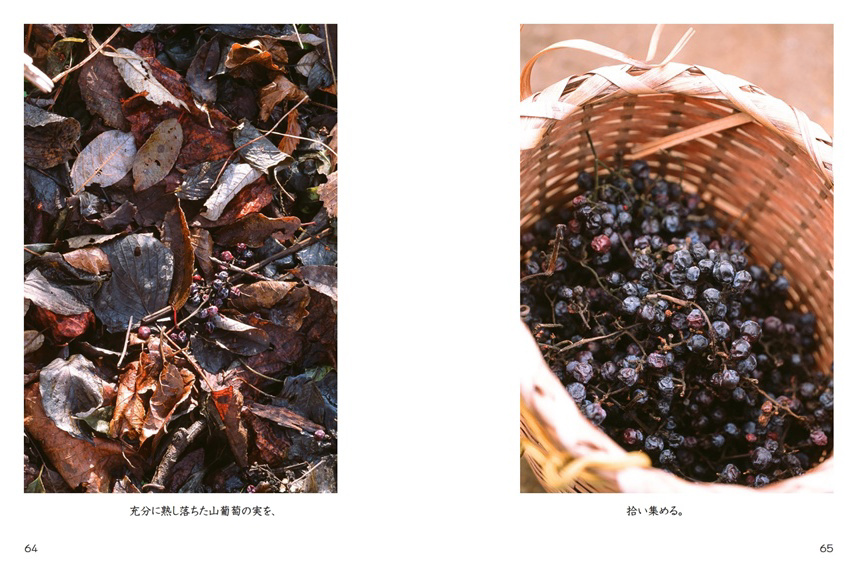 フォトブック 64ページ目