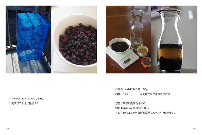 フォトブック 66ページ目